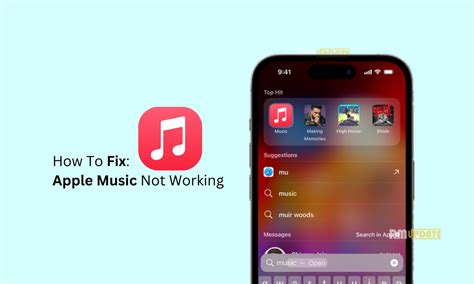 why my Apple Music not working: Exploring Potential Culprits and Enhancing Digital Music Experiences